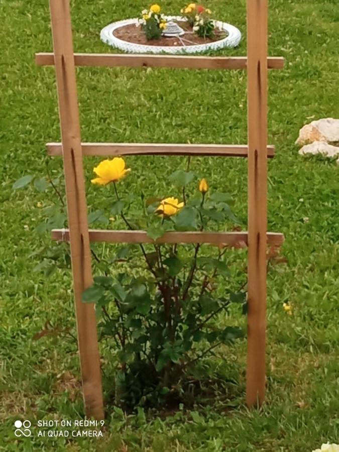 Yellow Rose Rakovica Buitenkant foto